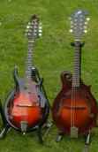 Currently in stock: 
						Rigel Classic S,	  Rigel S-100, Skip Kelley F5,  2 Gibson EM200s