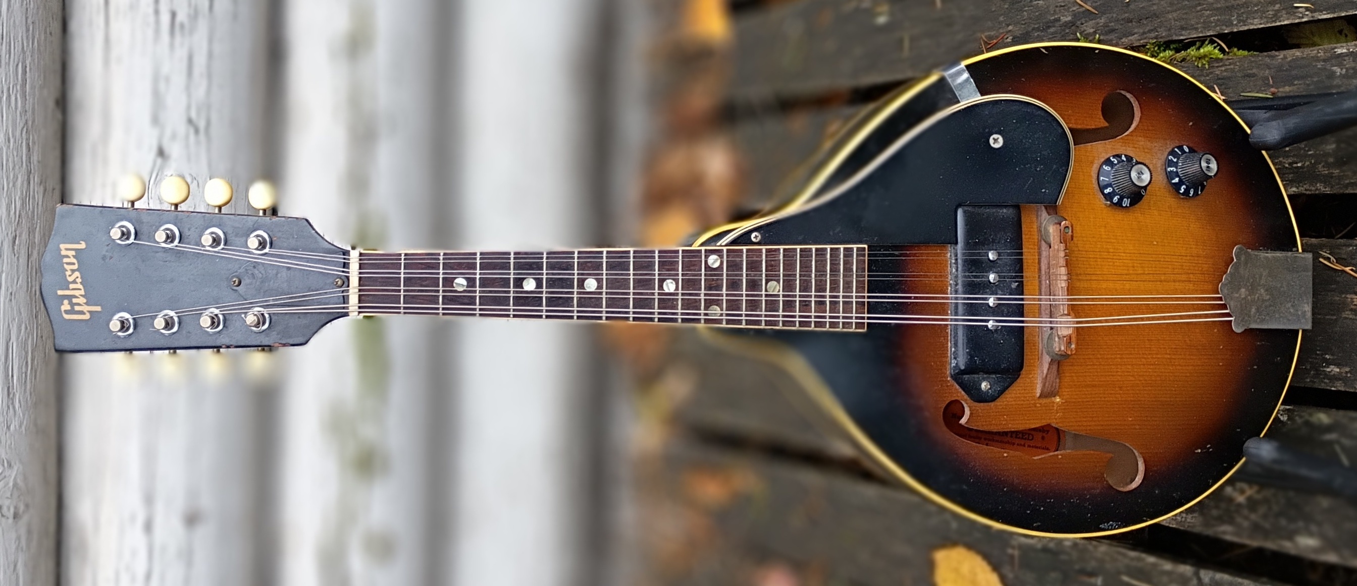 Gibson EM150