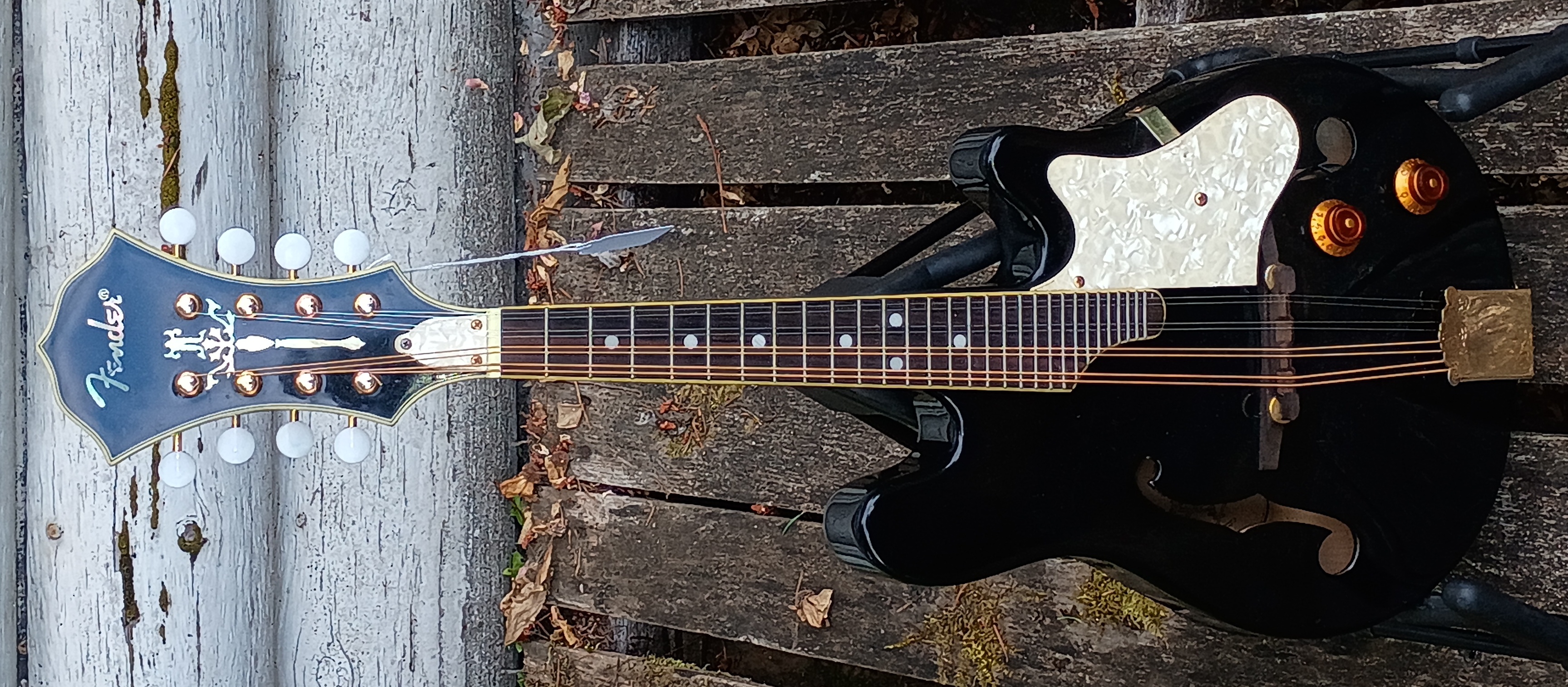 Fender FM62SCE
