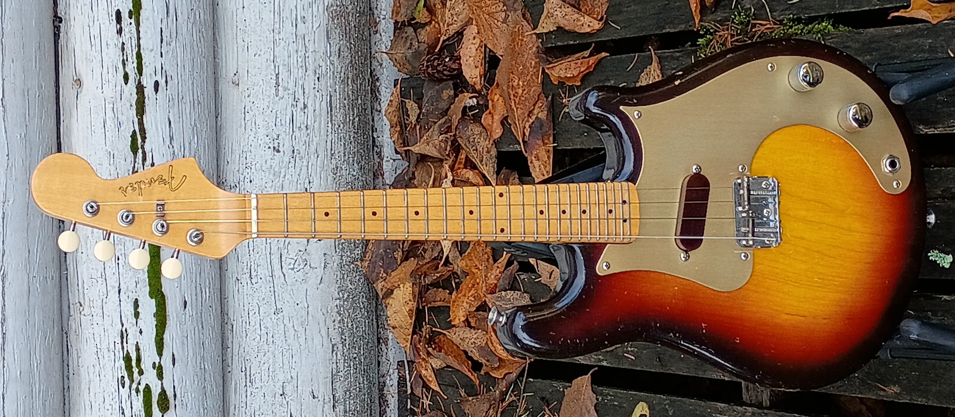 Fender Mandocaster