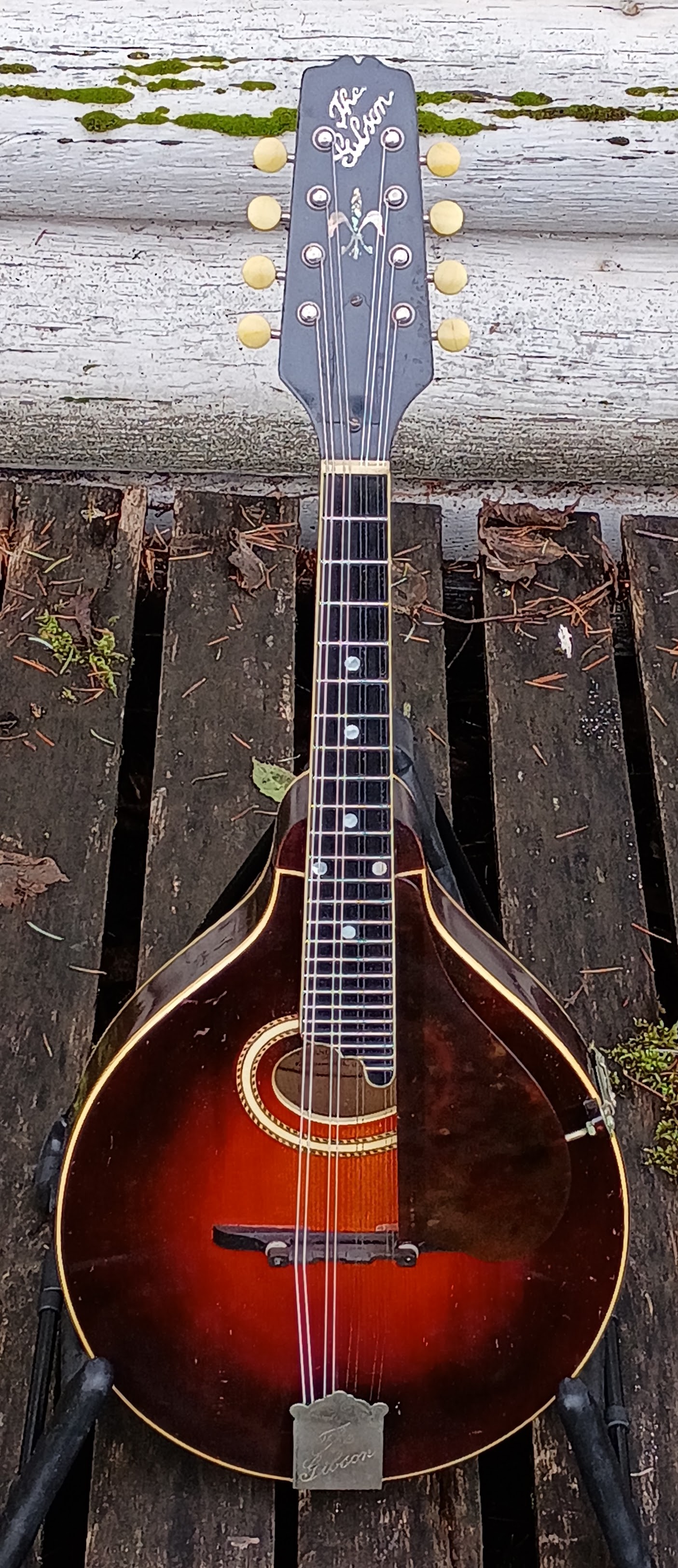 Gibson A4