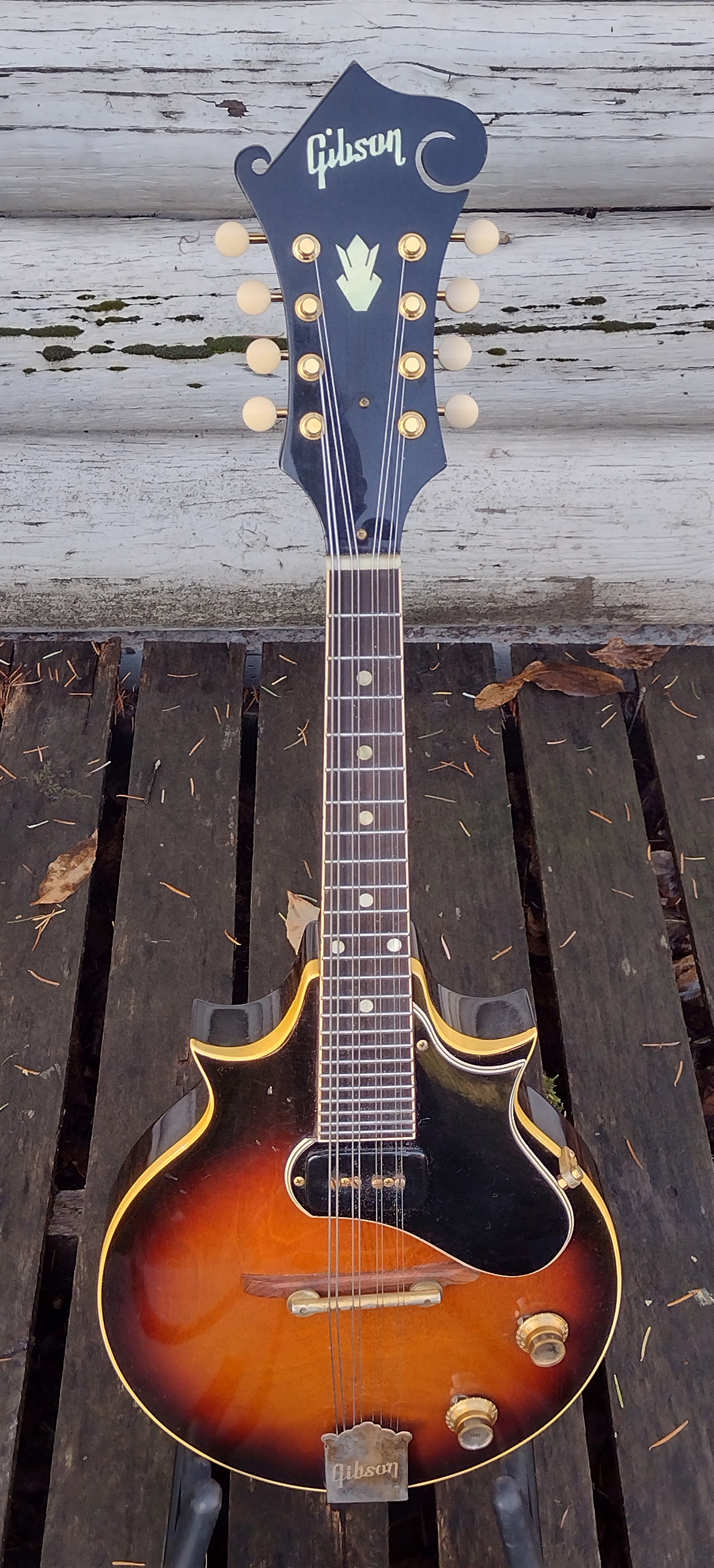 Gibson EM200