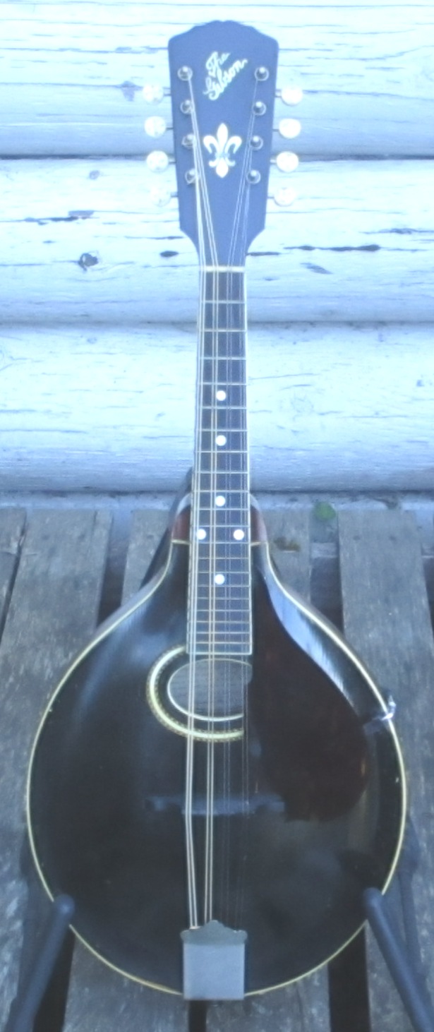 Gibson A4