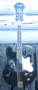 Fender FM62SCE