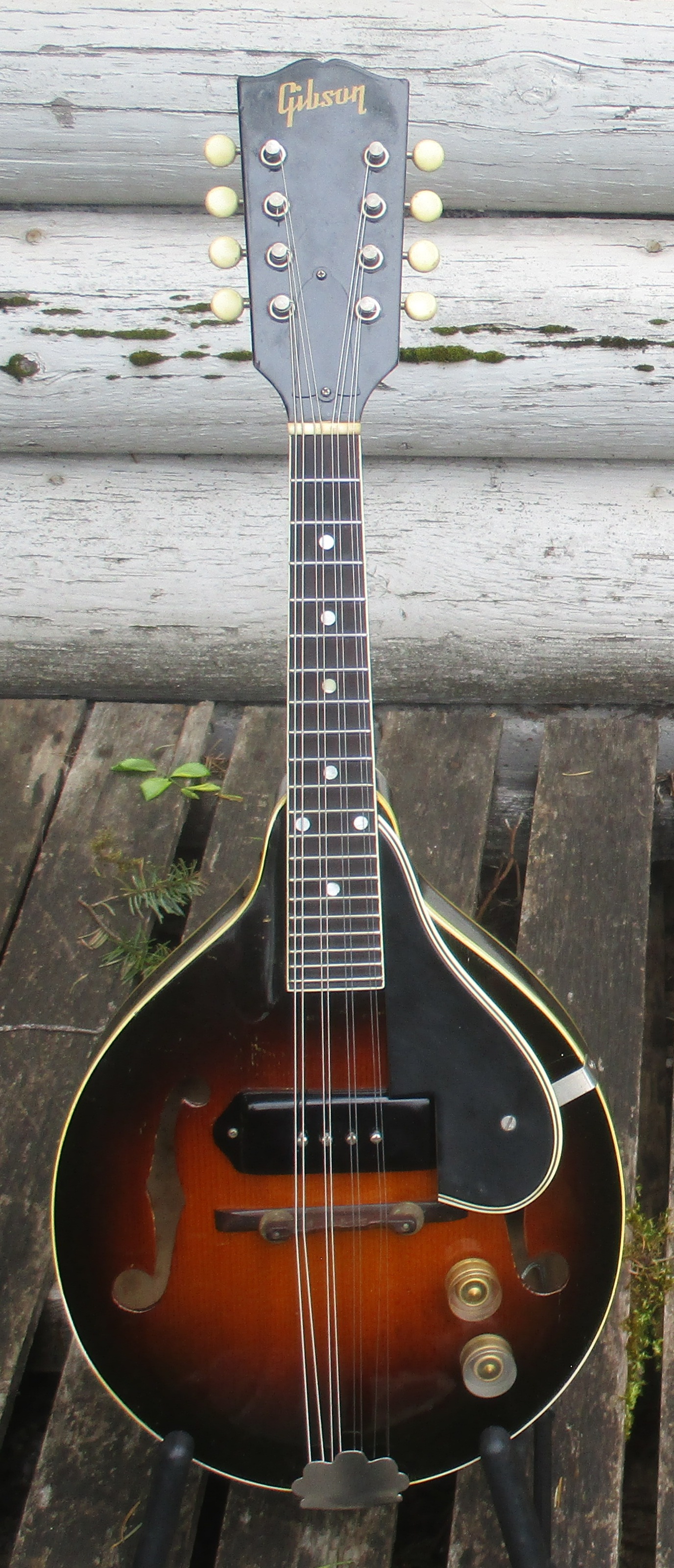 Gibson EM150