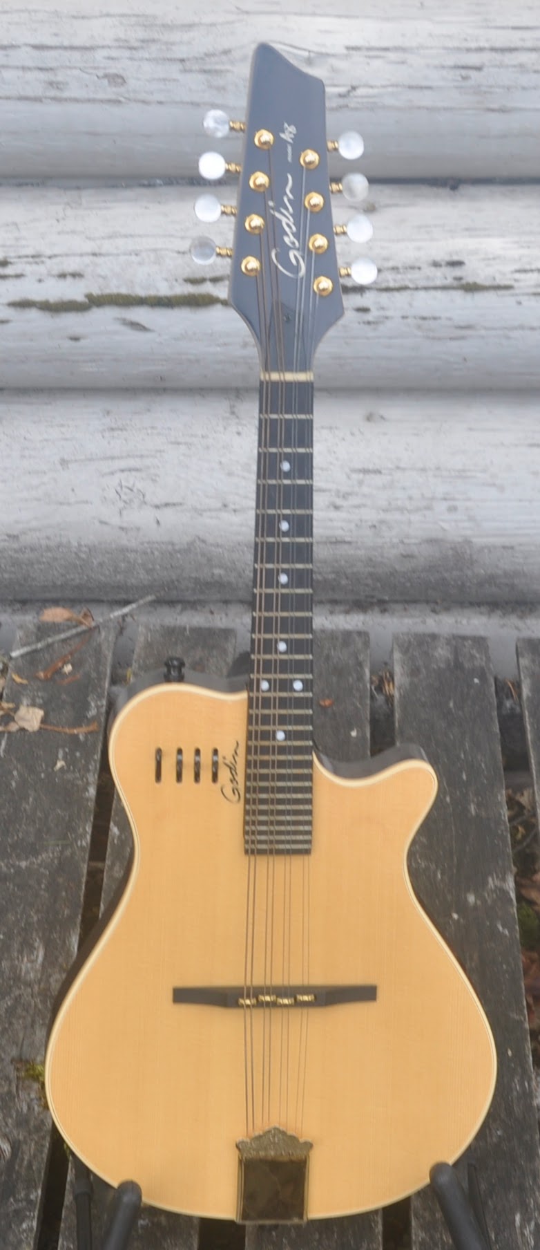 Godin A8